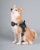 Dog Helios 'Scorpion' Sporty High-Performance Free-Range Dog Harness